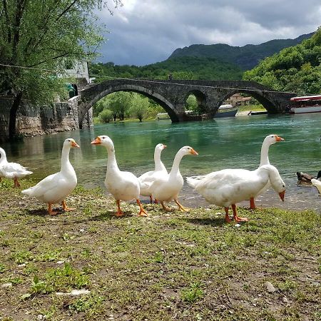Apartman Jovicevic Pavle Rijeka Crnojevića Buitenkant foto
